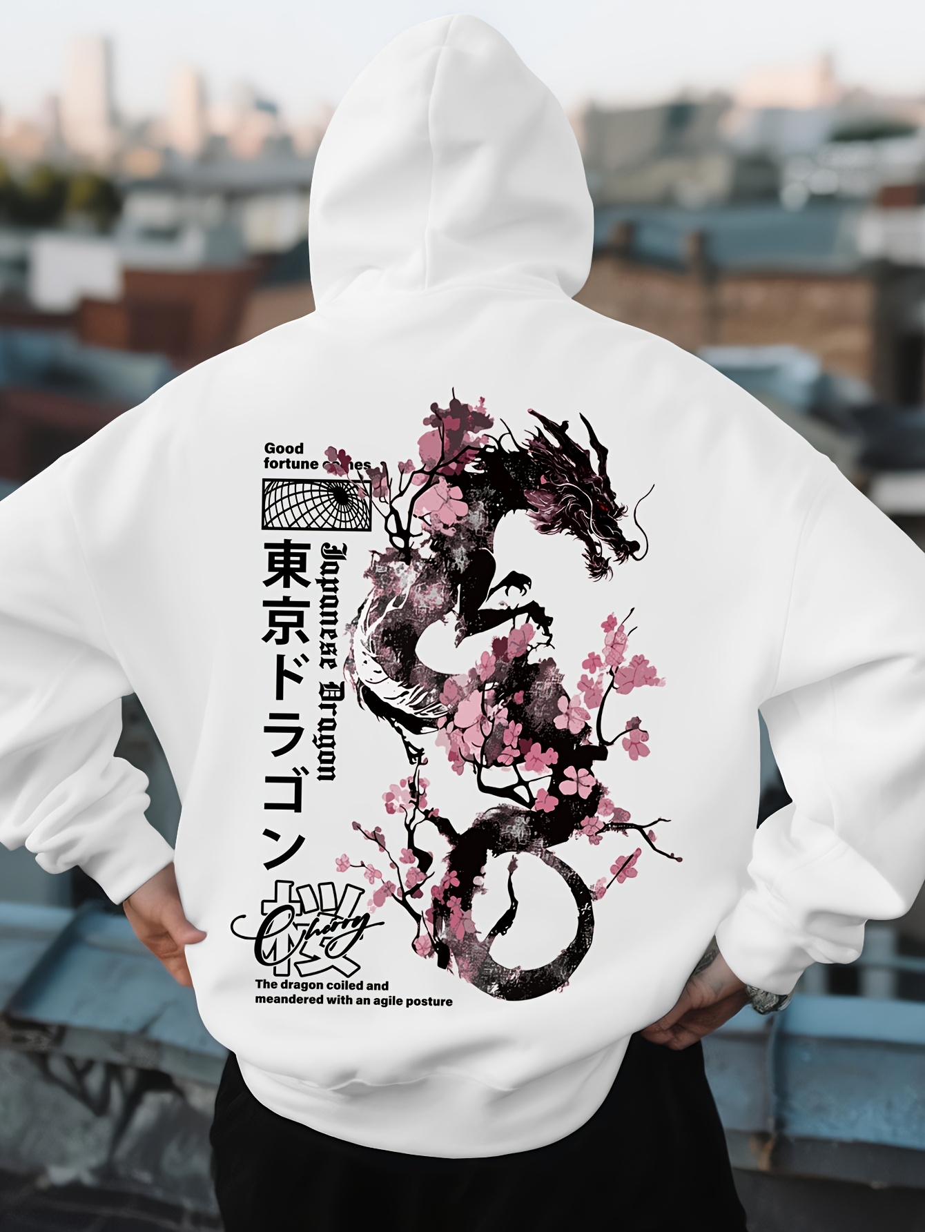 Mens Hip Hop Sports Hoodie Aes - đánh giá và giá Street Fashion Asian